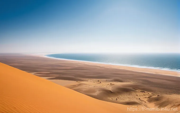나미비아 월비스 베이 플라밍고 투어 - **"A peaceful and immersive close-up scene during a sunrise kayak excursion in Walvis Bay, Namibia. ...